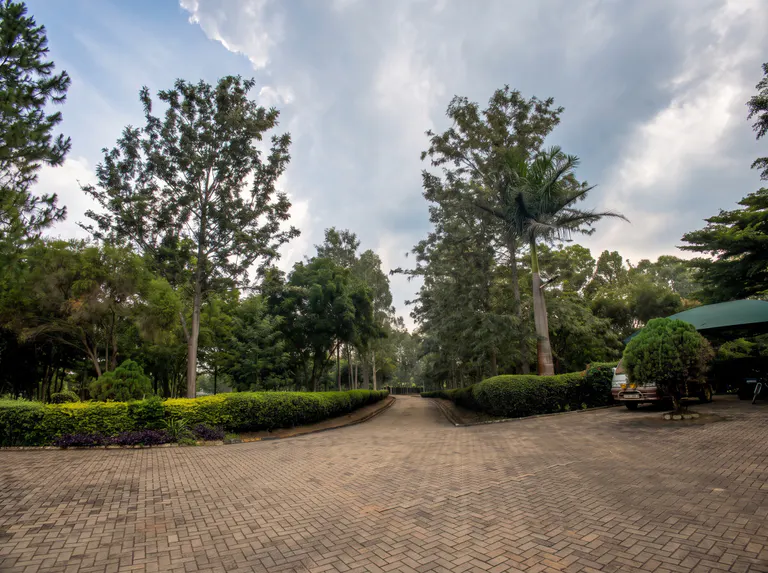 The landscaped compound and tree-lined driveway at The Nyakaju.