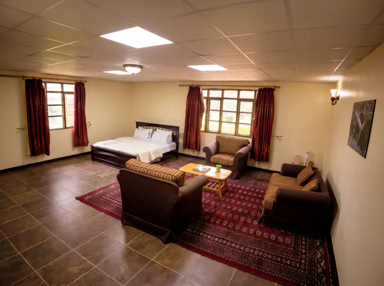 Elite spacious bedroom and sitting area.