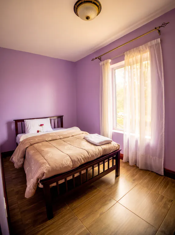 Royal bedroom with purple walls and natural light.